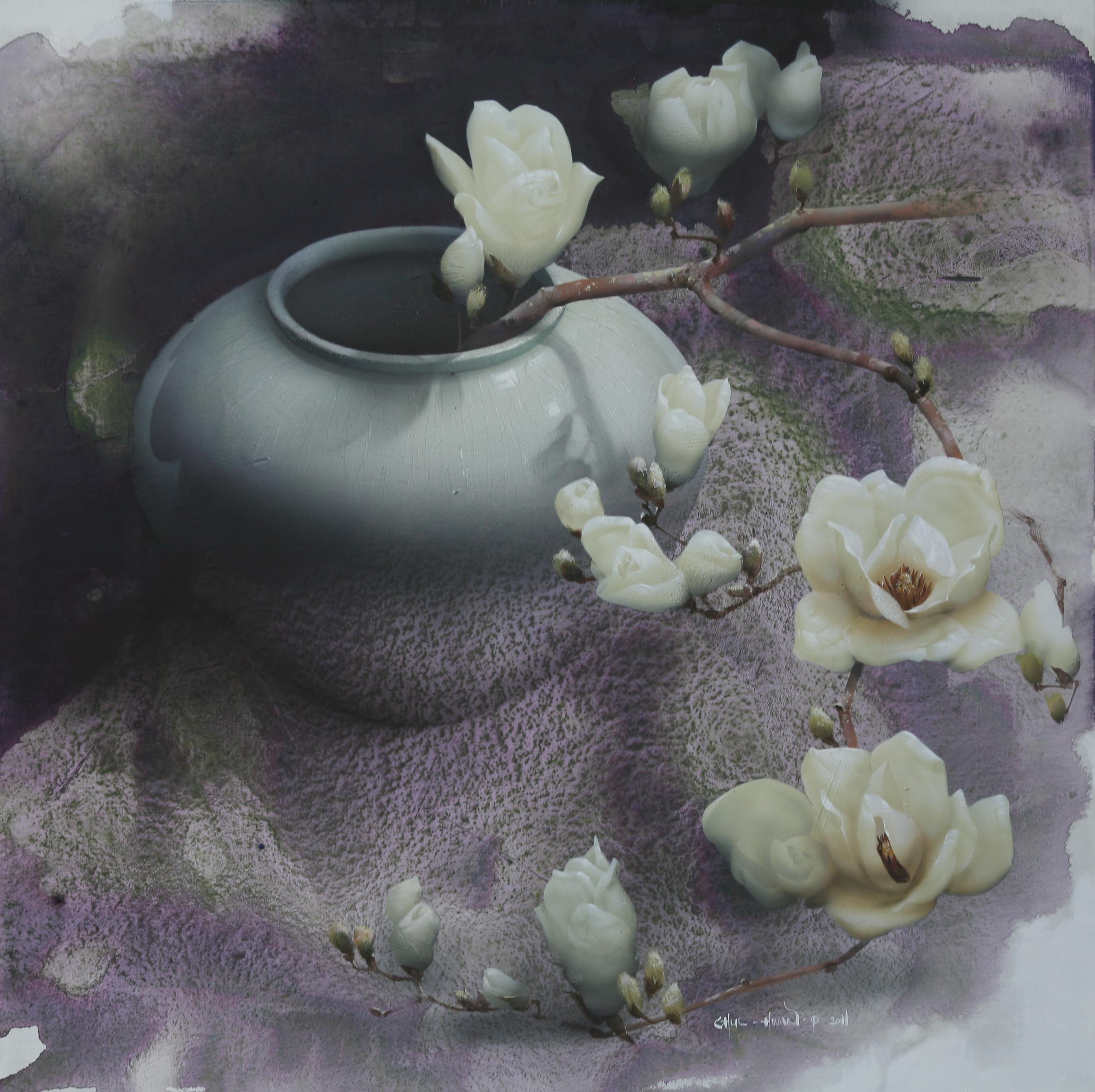 Magnolia - 6