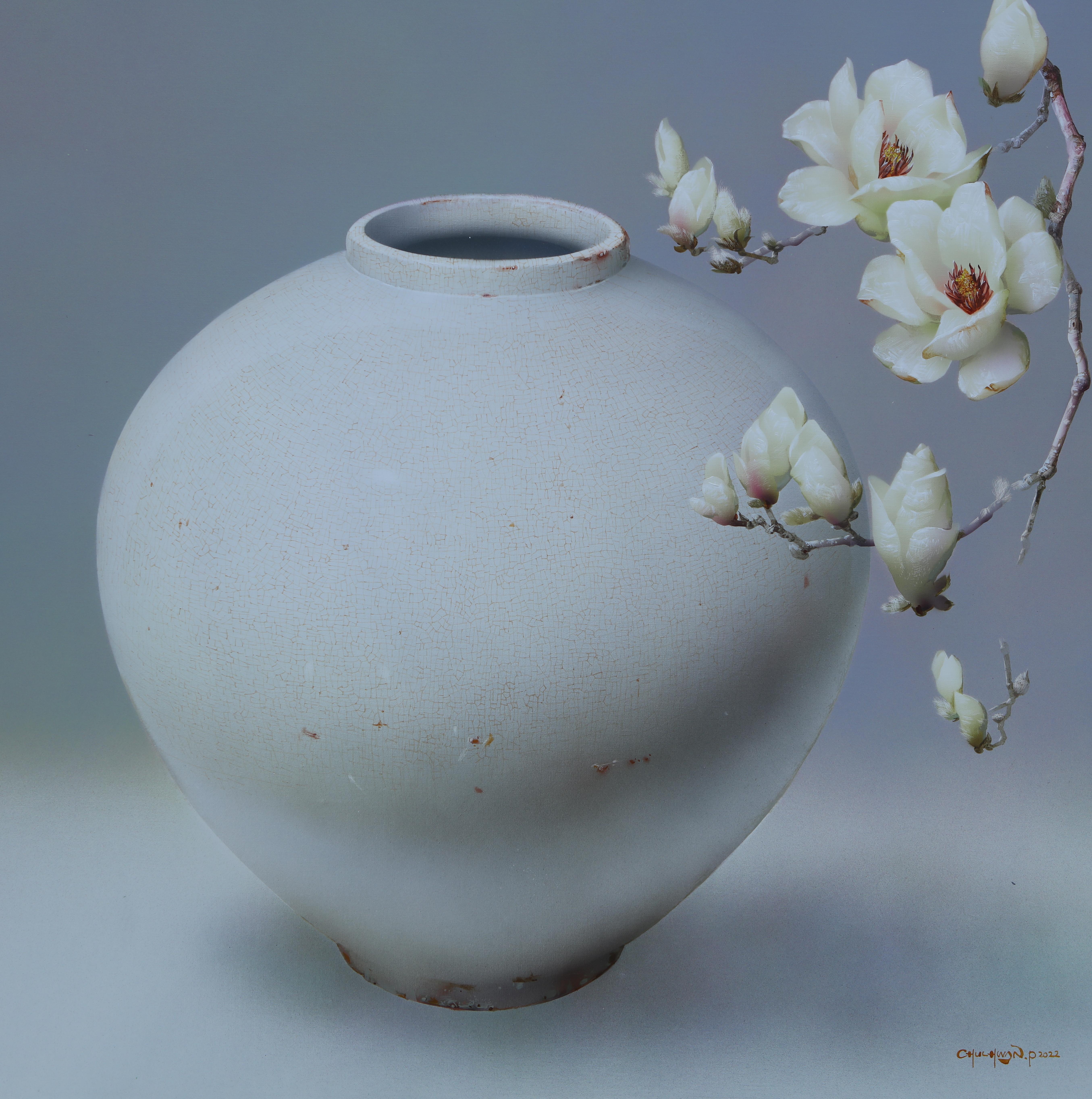 Magnolia - 8