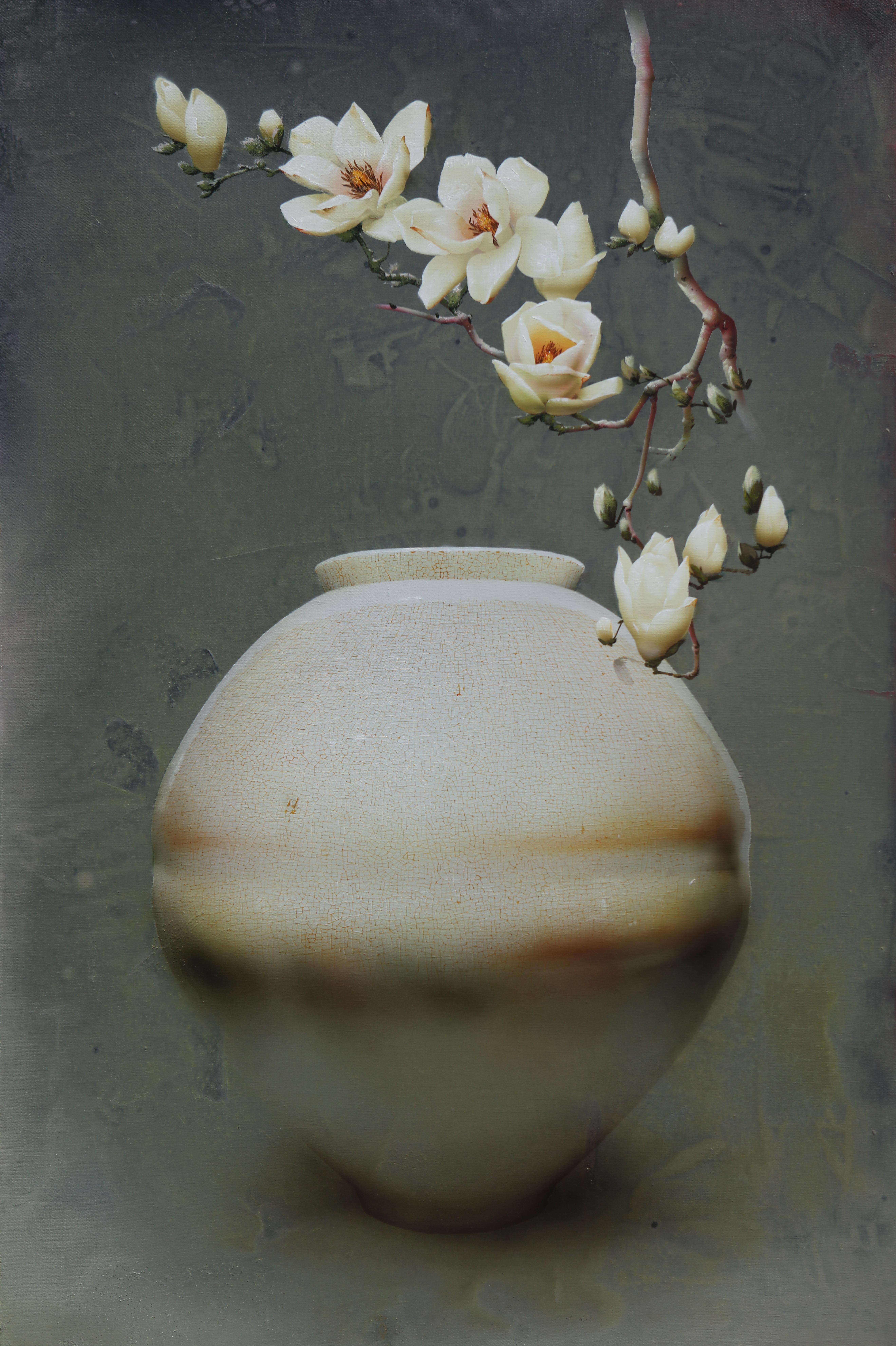 Magnolia - 14