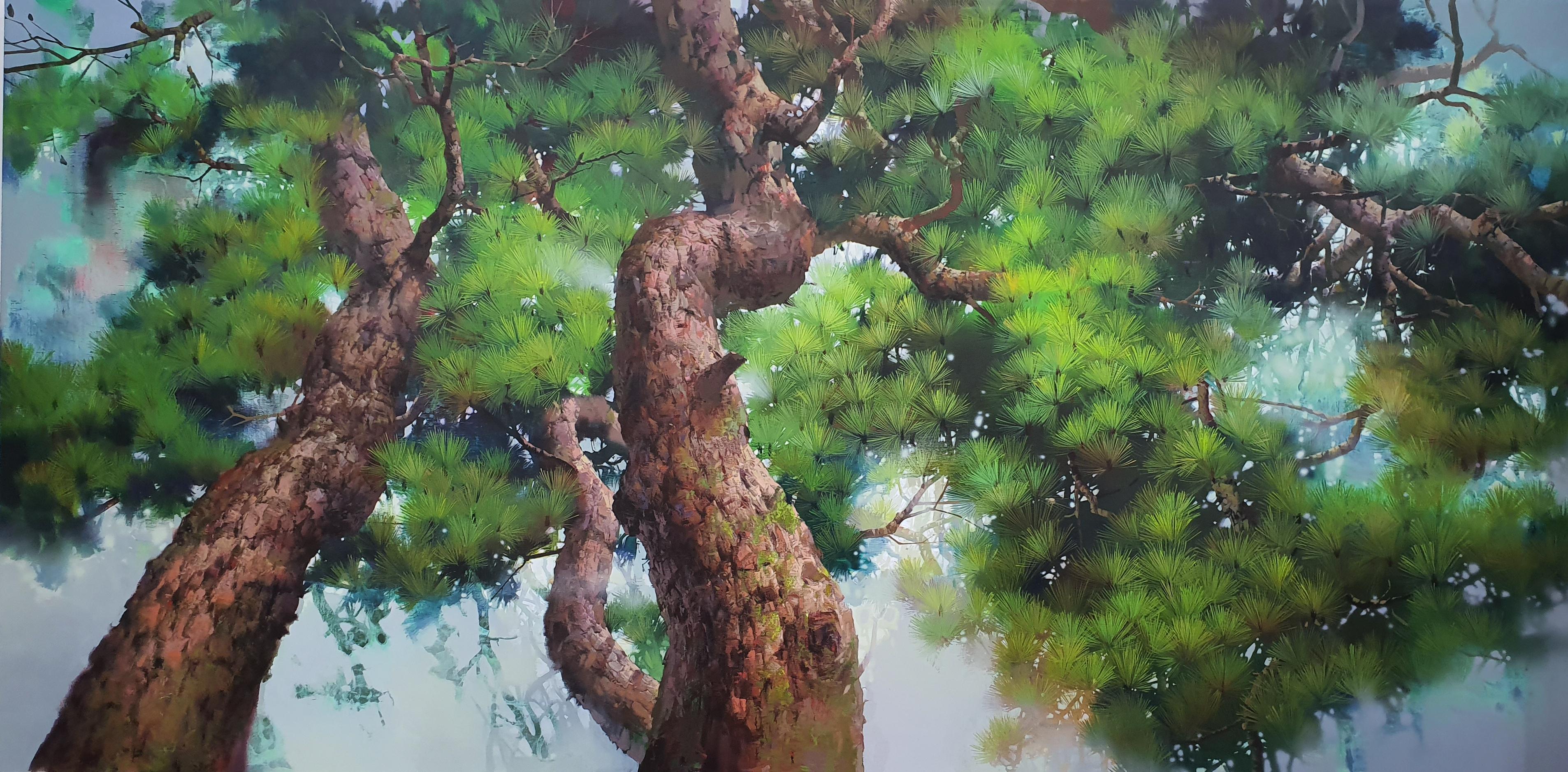 소나무 - 5